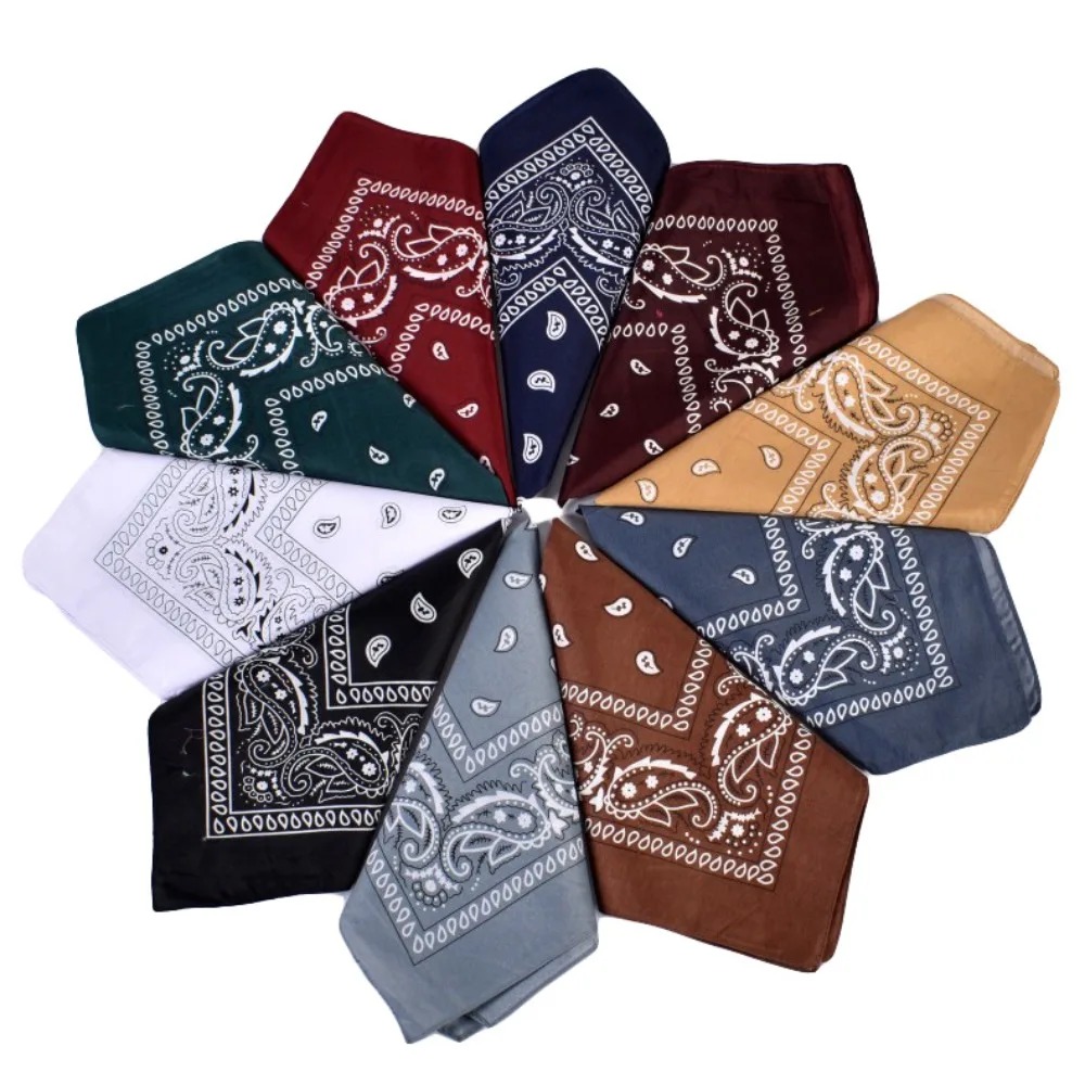 Hip Hop Cowboy Paisley Scarf L - Ascot Neck Scarf avis et prix