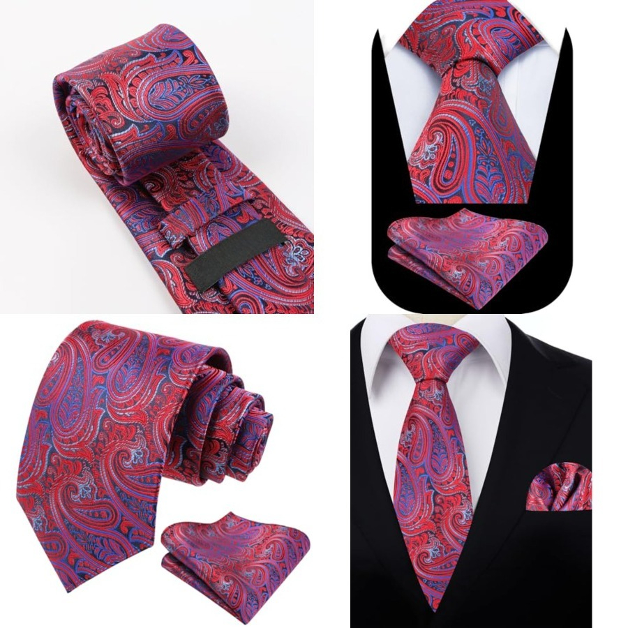 Mens Gradient Paisley Necktie  - Pocket Square Set avis et prix