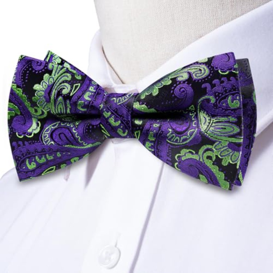 Mens Paisley Striped Bowtie Se - Silk Tie Striped avis et prix